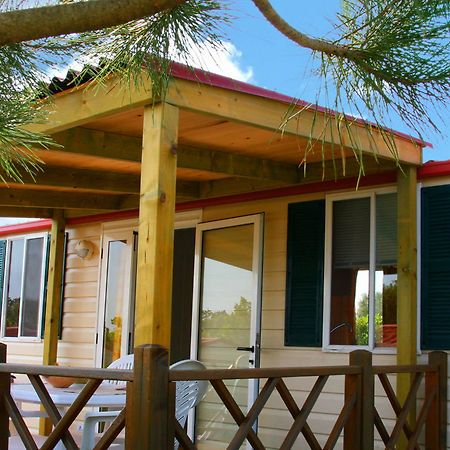Camp Dole Zivogosce Hotel Podgora Kültér fotó