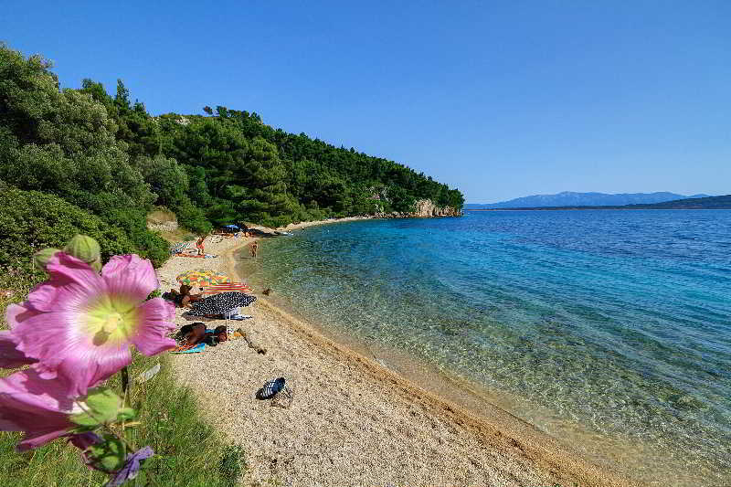 Camp Dole Zivogosce Hotel Podgora Kültér fotó